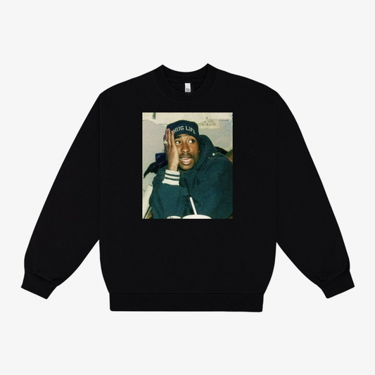 PAC TAPESTRY PATCH SWEATSHIRT 2